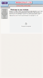 Mobile Screenshot of bridgeman-ltd.co.uk